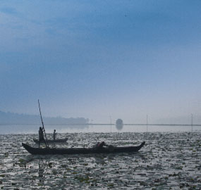 Vellayani Lake